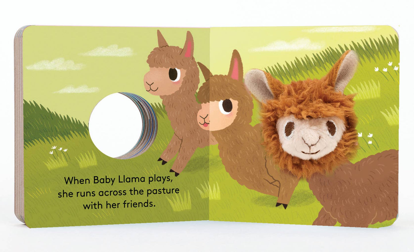 Chronicle Books - Baby Llama