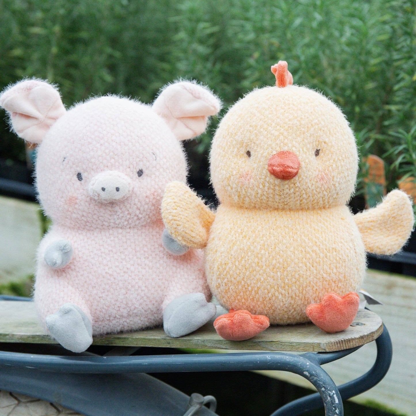 Bunnies By the Bay - Baby Clucky the Chicken