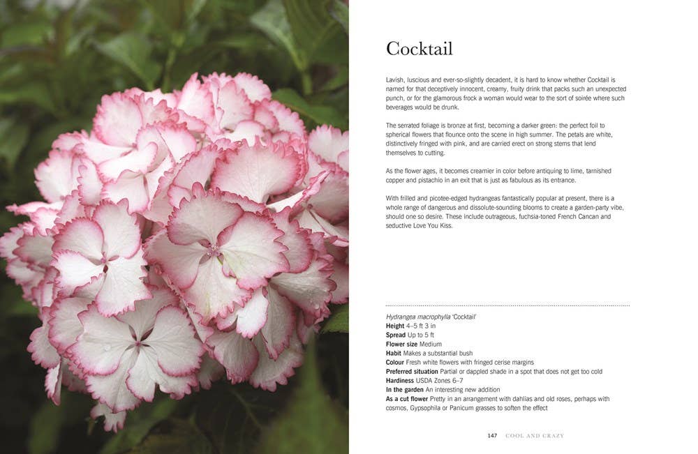 Gibbs Smith - Hydrangeas: Beautiful Varieties for Home & Garden