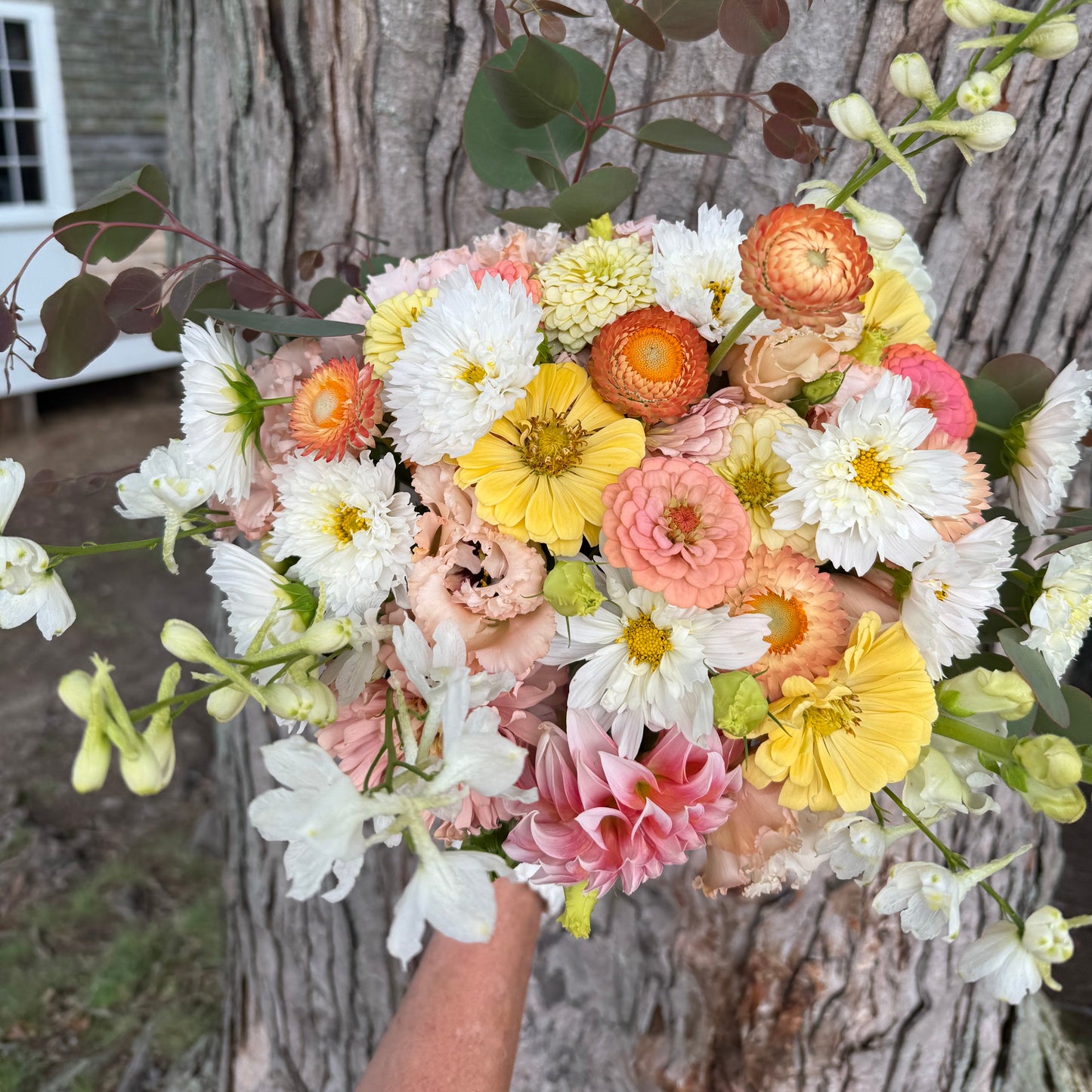 CSA Summer Flower Share