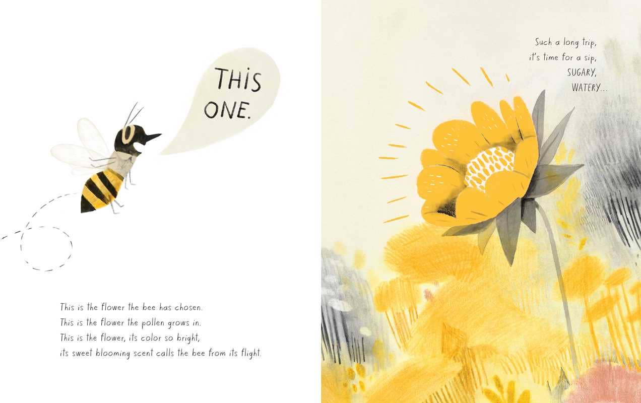Simon & Schuster - Honeybee by Kirsten Hall