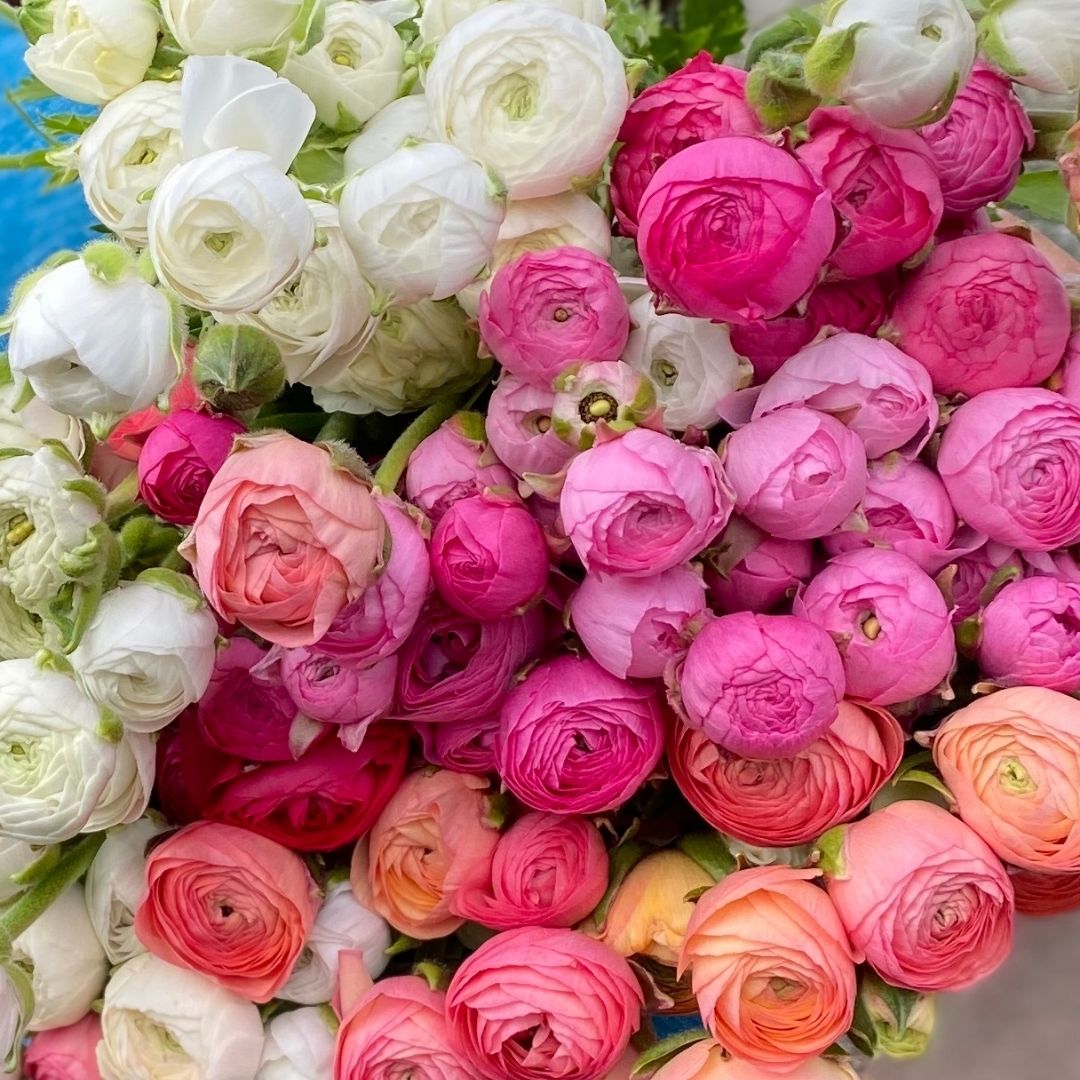 CSA Spring Flower Share