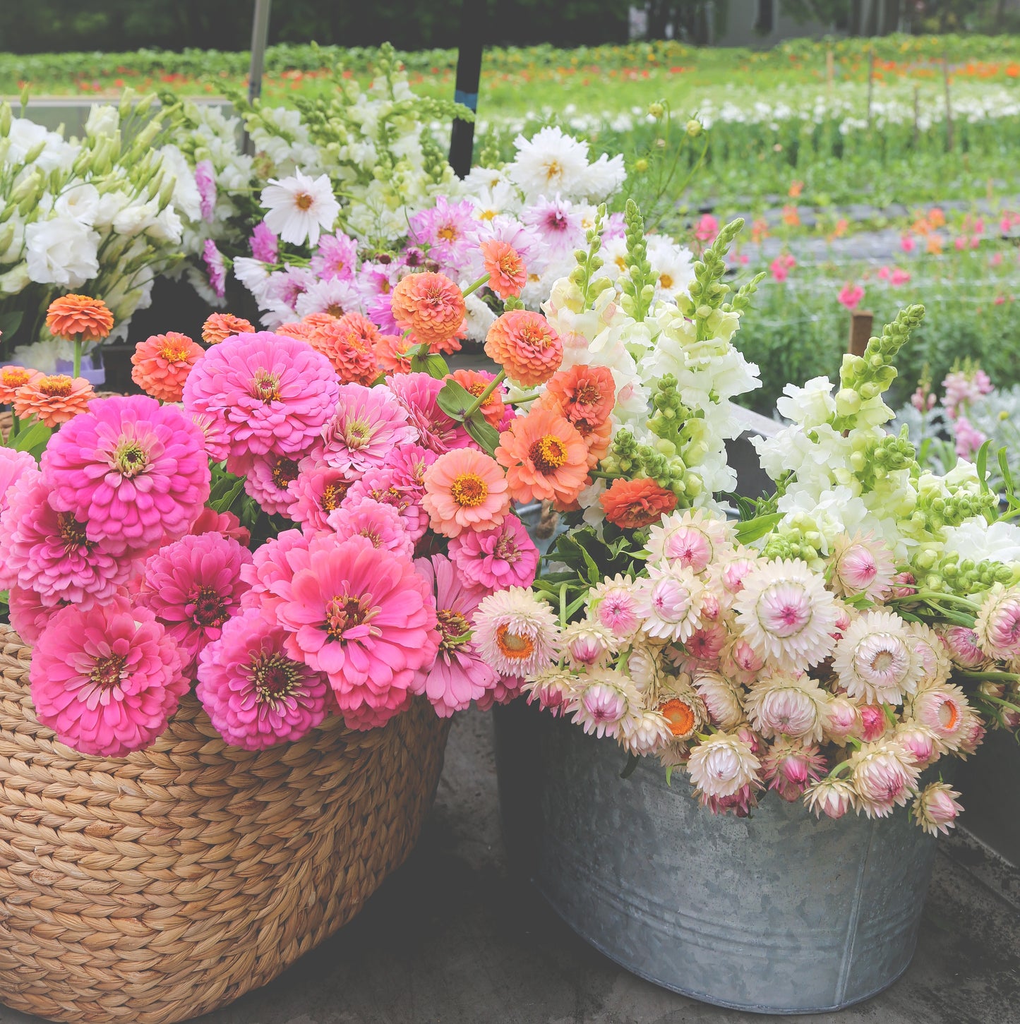 High Summer Cutting Garden Kit