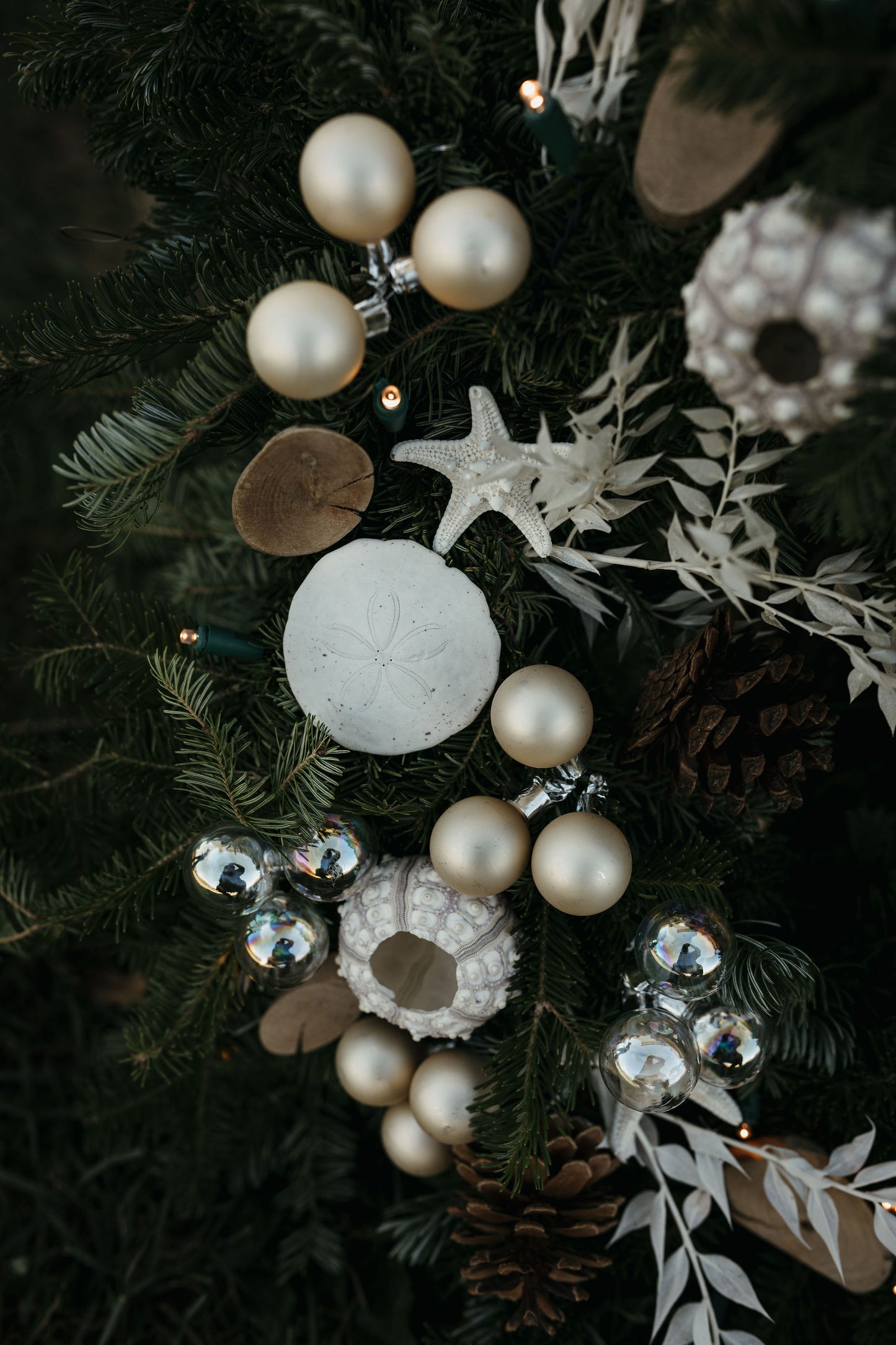 Holiday Wreath Workshops