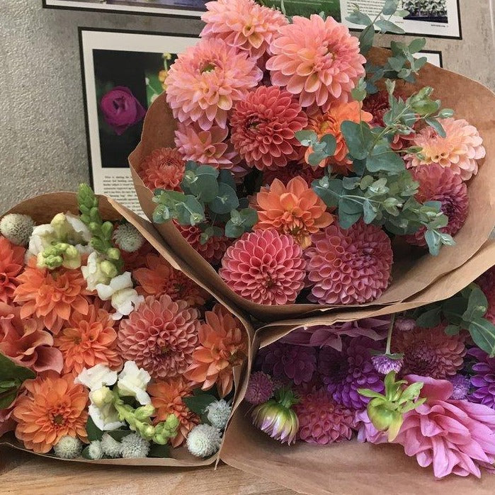 CSA Spring Share - 5 weeks