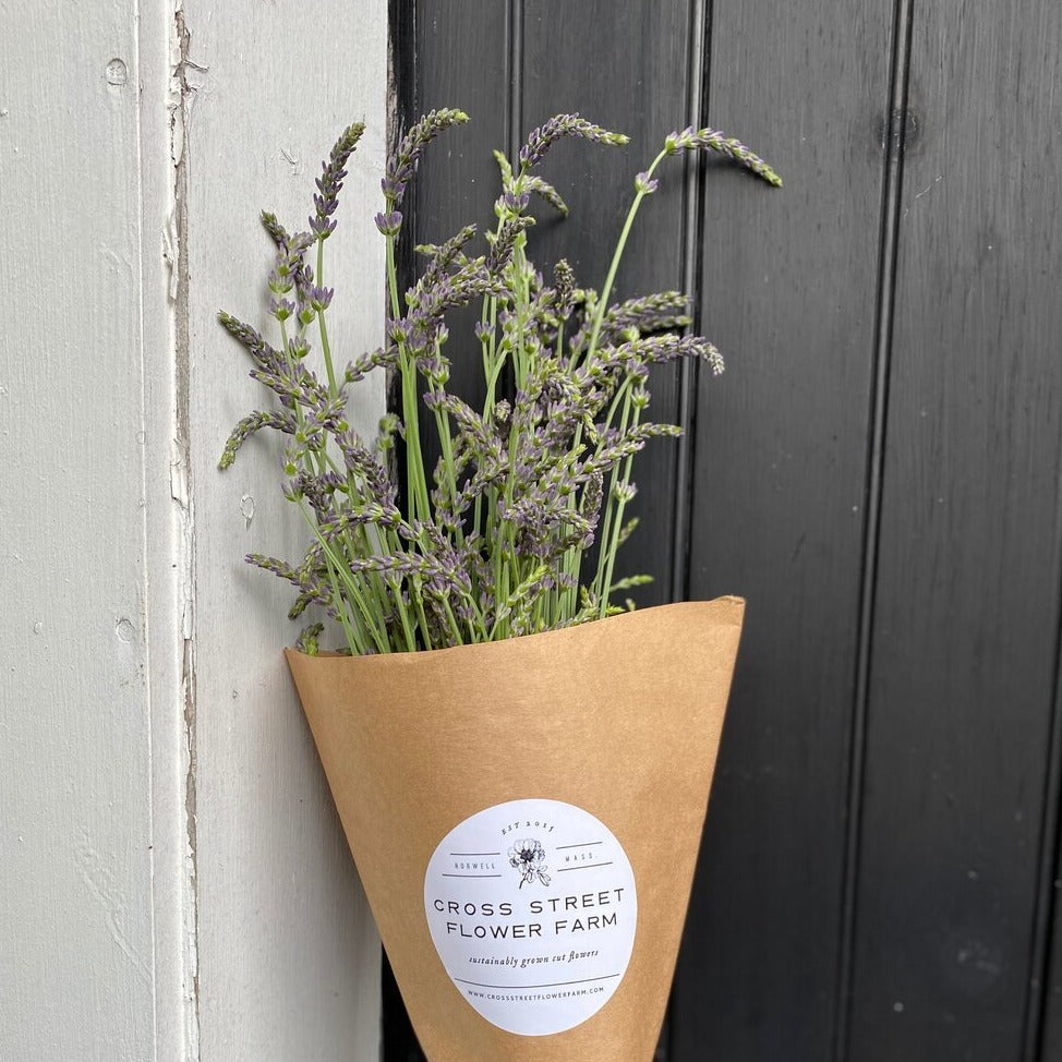 Lavender Bunch