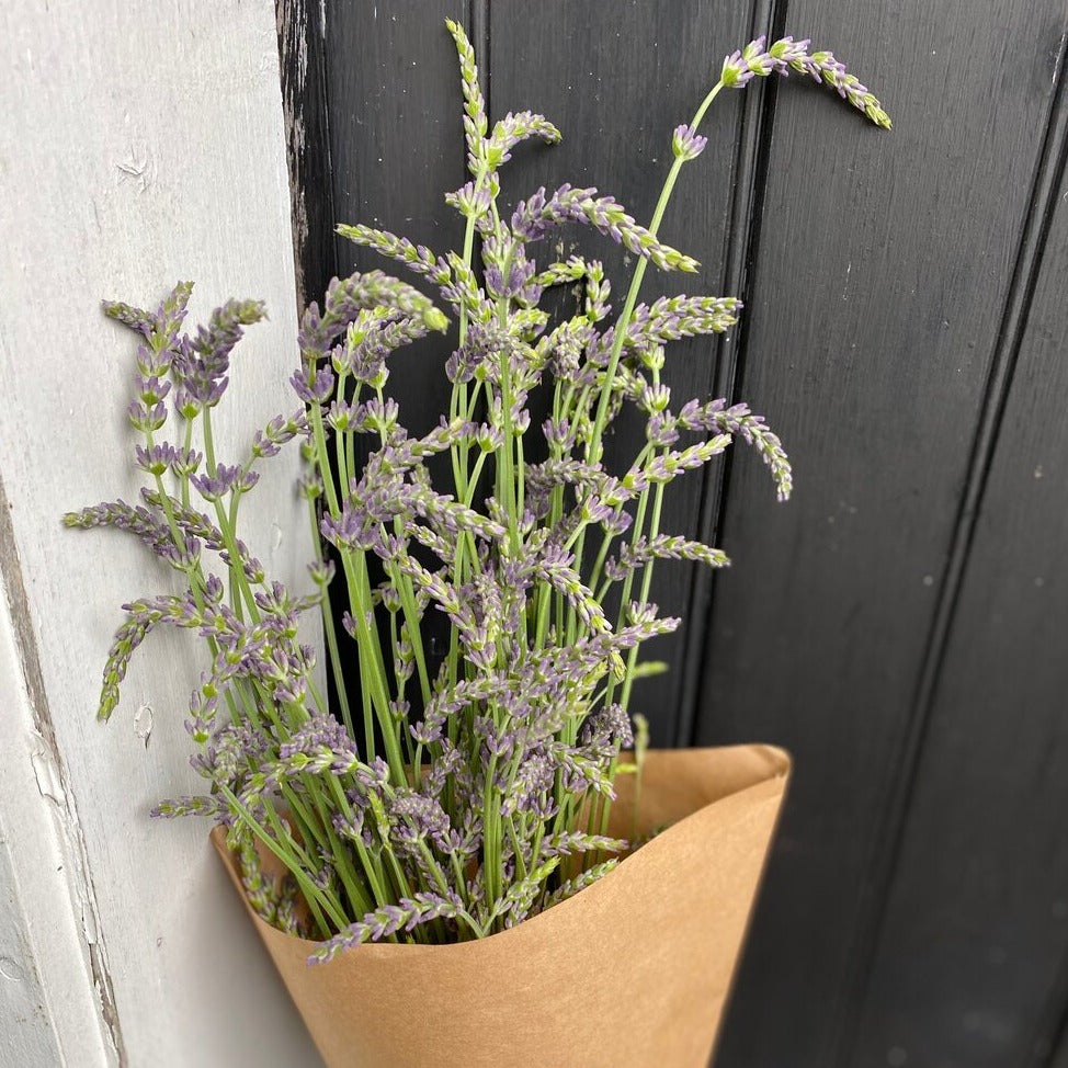 Lavender Bunch