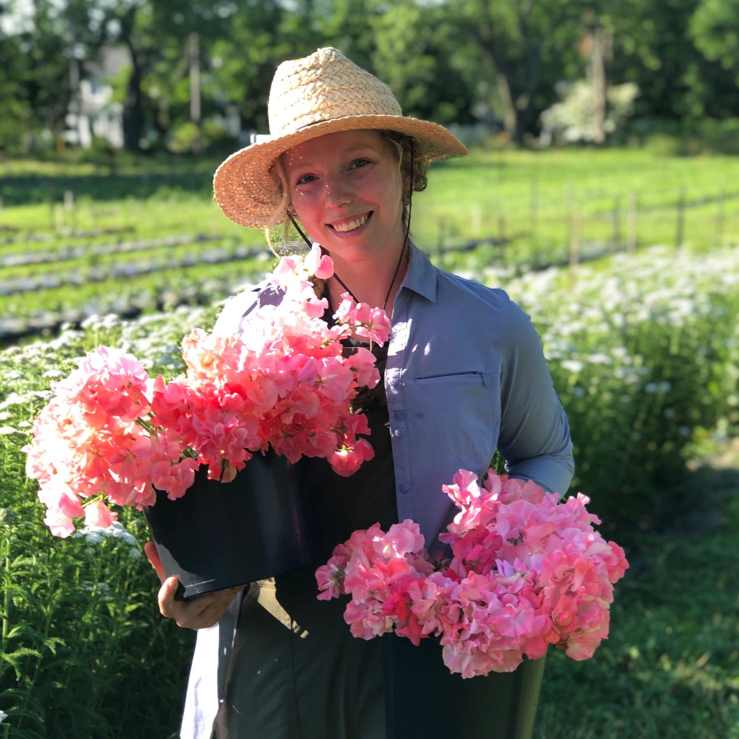 Early Summer Cutting Garden Kit