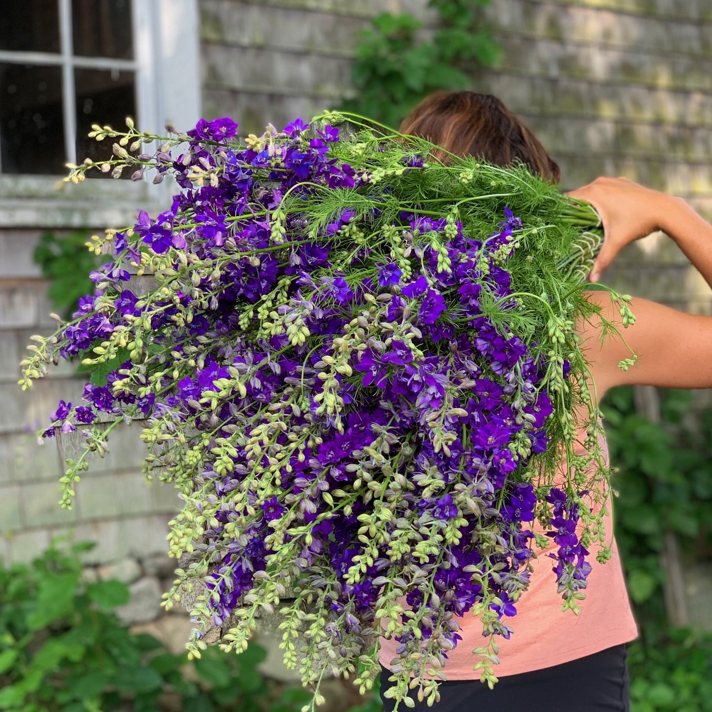 Early Summer Cutting Garden Kit