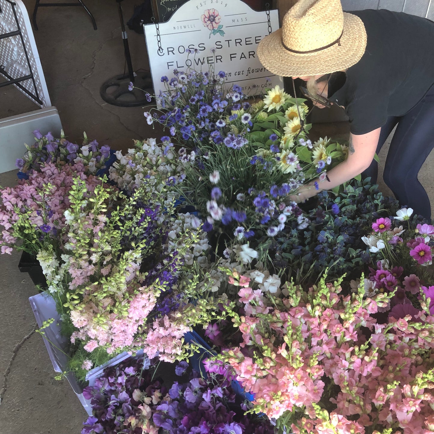Early Summer Cutting Garden Kit