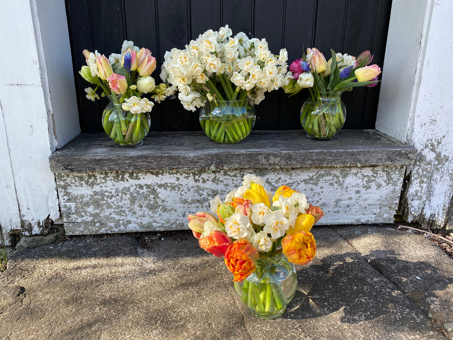 Special Occasion Flowers