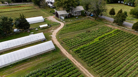Jacobs Farm at 300 - Alive, Growing + Useful