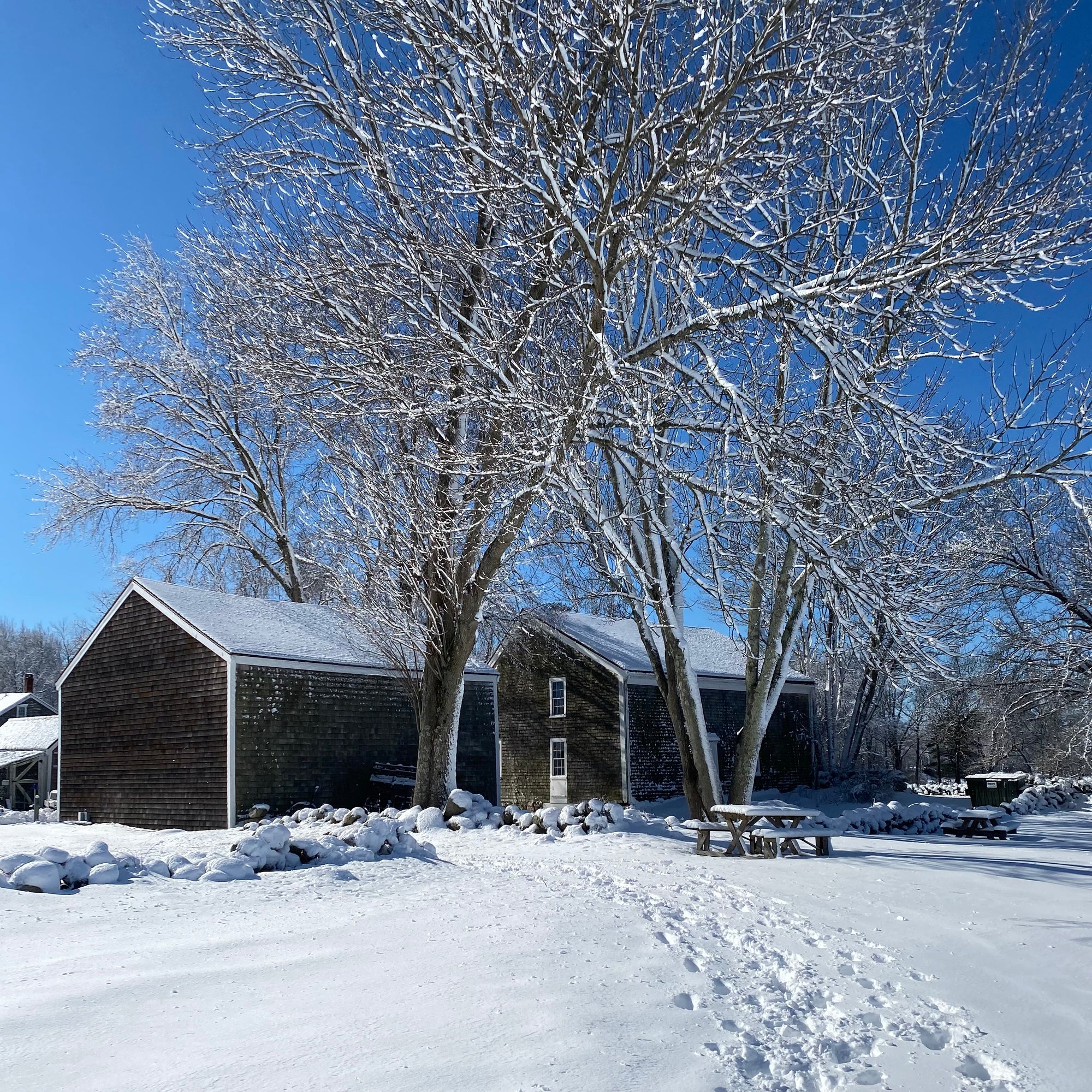 January is for Snow Days