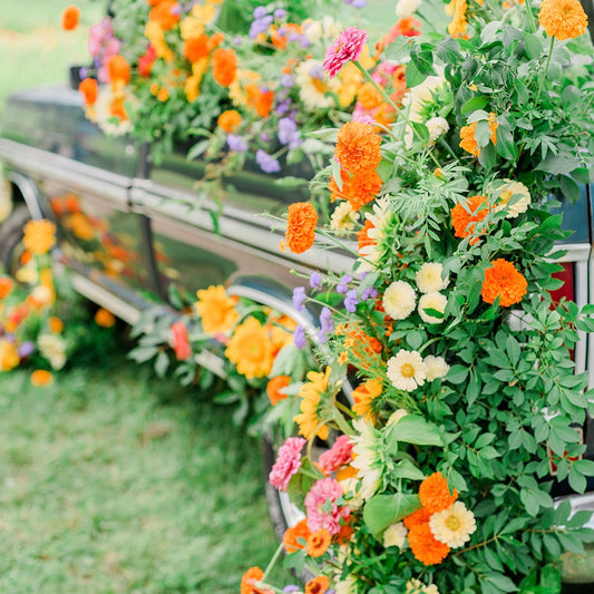 Why is a Cross Street Flower Share such a great gift?