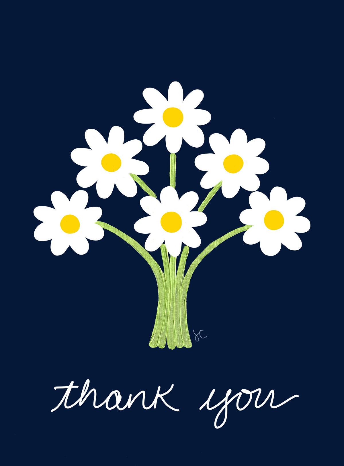 Citrus Daisy - White Daisy Thank You