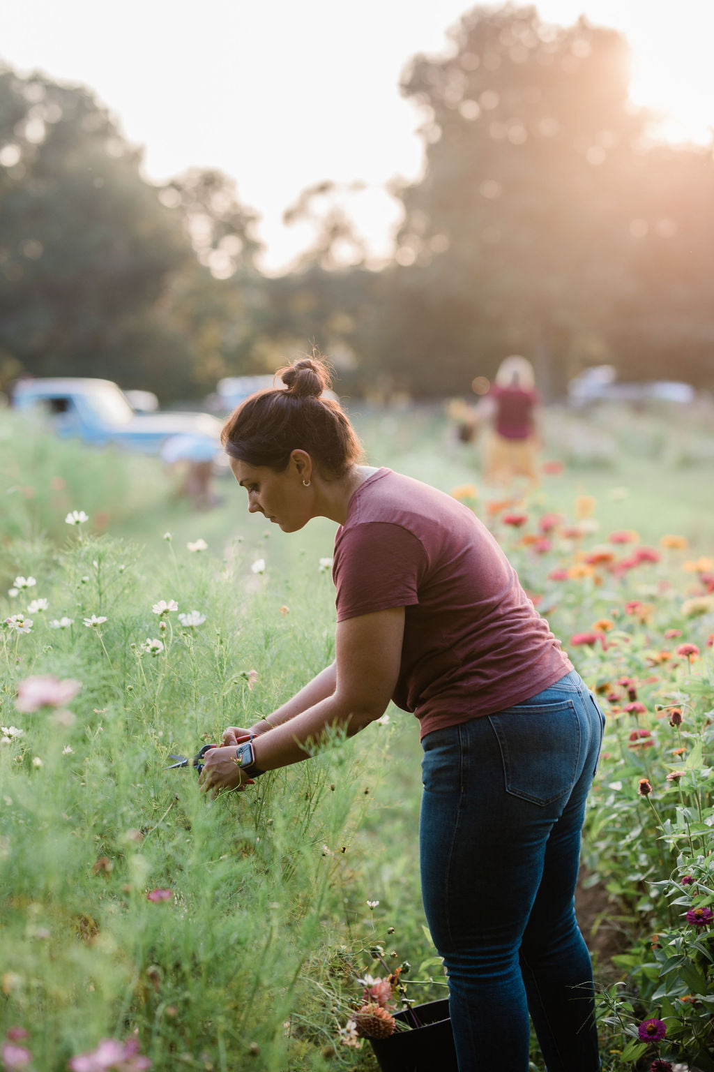 NEW! Flower Farm Tour & Cut Your Own Bouquet