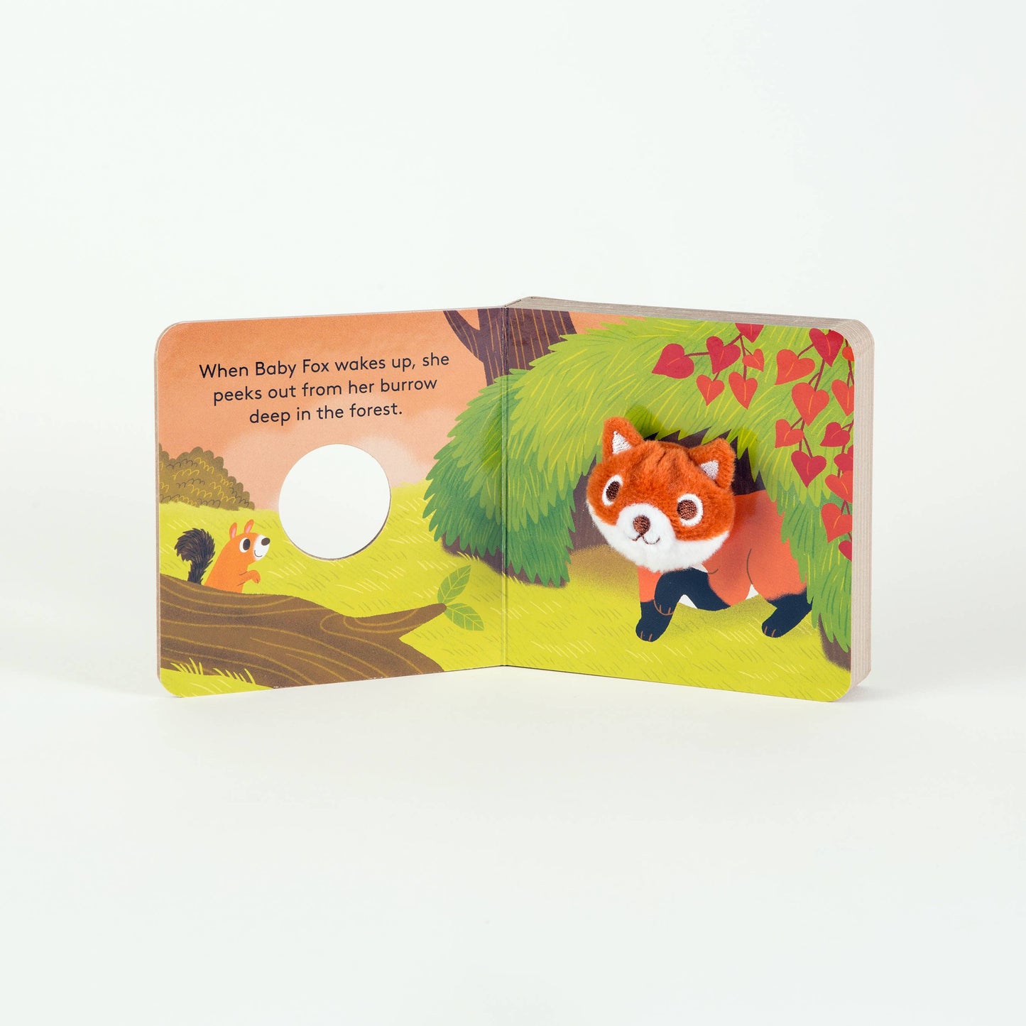Chronicle Books - Baby Fox