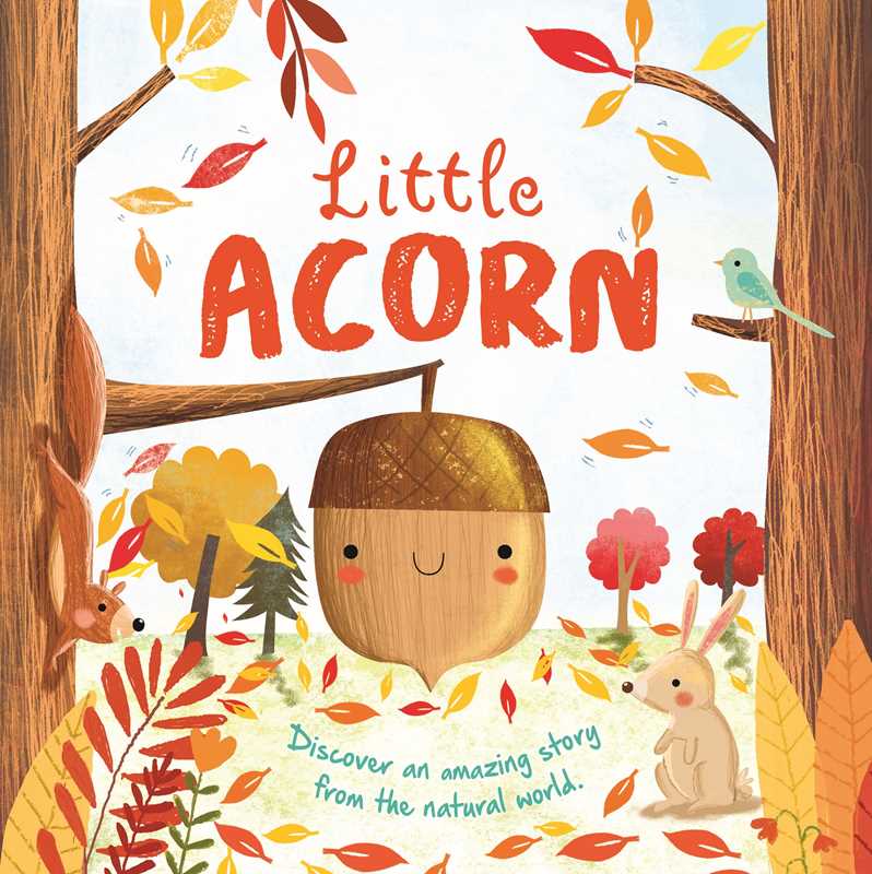 Simon & Schuster - Nature Stories: Little Acorn-Discover an Amazing Story from the Natural World by IglooBooks
