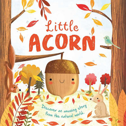 Simon & Schuster - Nature Stories: Little Acorn-Discover an Amazing Story from the Natural World by IglooBooks