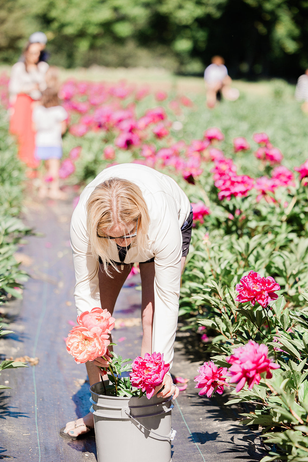 Cut Your Own Peonies