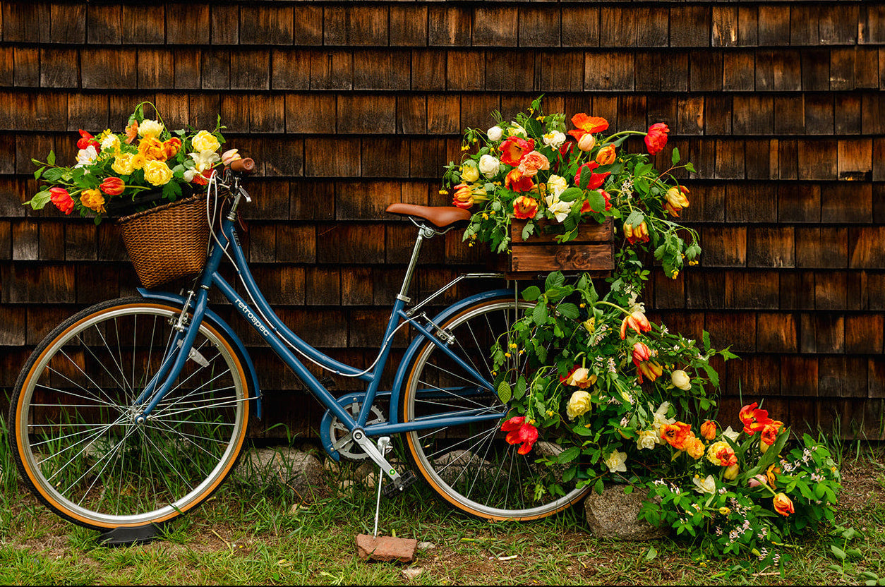 Cross Street Flower Farm's bicycle with flower baskets against a barn shop wall