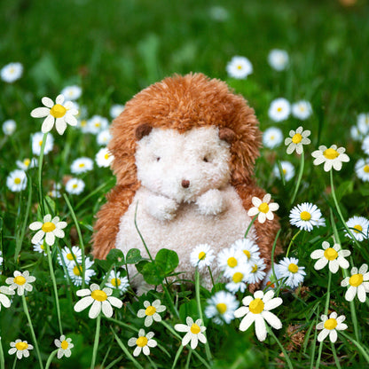 Bunnies By the Bay - Smidgen The Hedgehog
