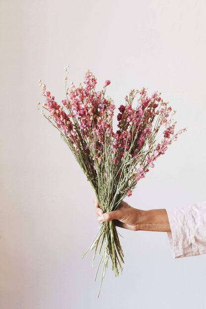 Idlewild Floral Co. - Dried Pink Larkspur