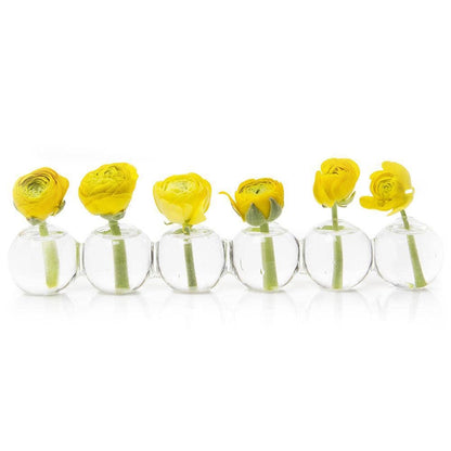 Chive - Caterpillar Bud Vase Glass