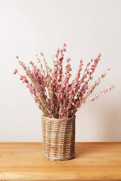 Idlewild Floral Co. - Dried Pink Larkspur