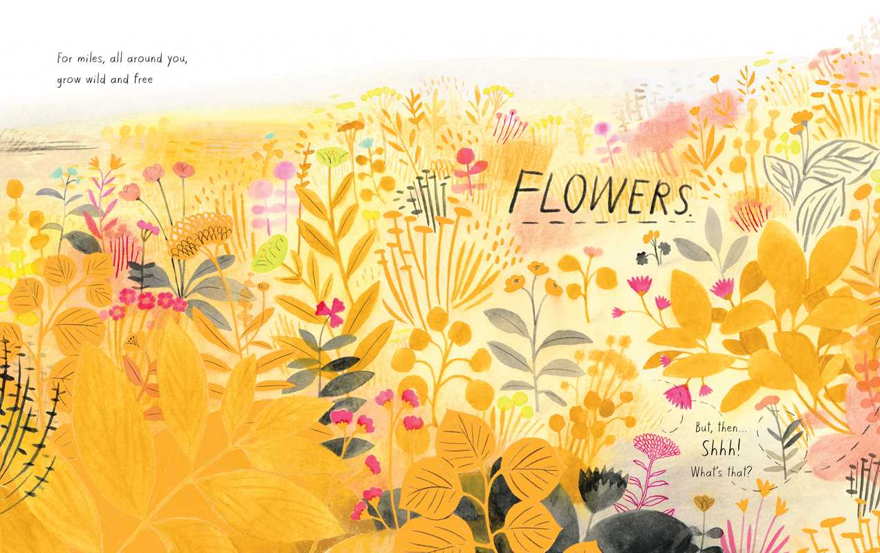 Simon & Schuster - Honeybee by Kirsten Hall