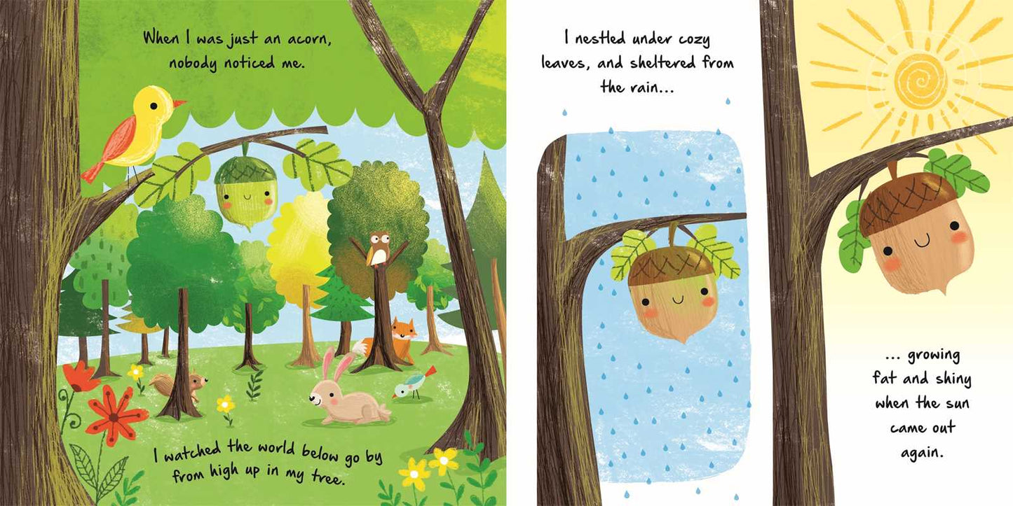 Simon & Schuster - Nature Stories: Little Acorn-Discover an Amazing Story from the Natural World by IglooBooks