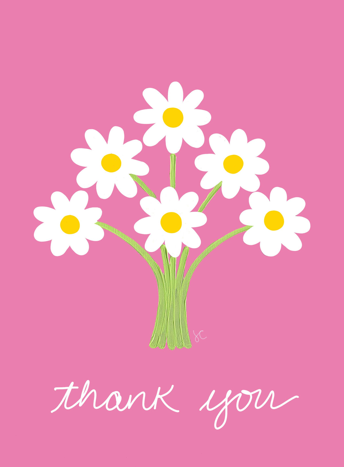 Citrus Daisy - White Daisy Thank You