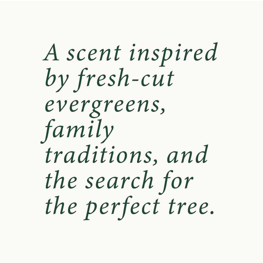 Poured Goods - Tree Farm Candle | Pine + Amber