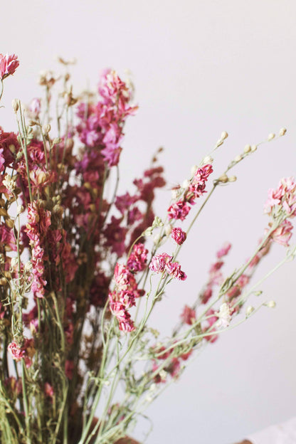 Idlewild Floral Co. - Dried Pink Larkspur
