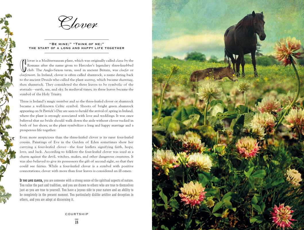 Simon & Schuster - Secret Language of Flowers by Samantha Gray