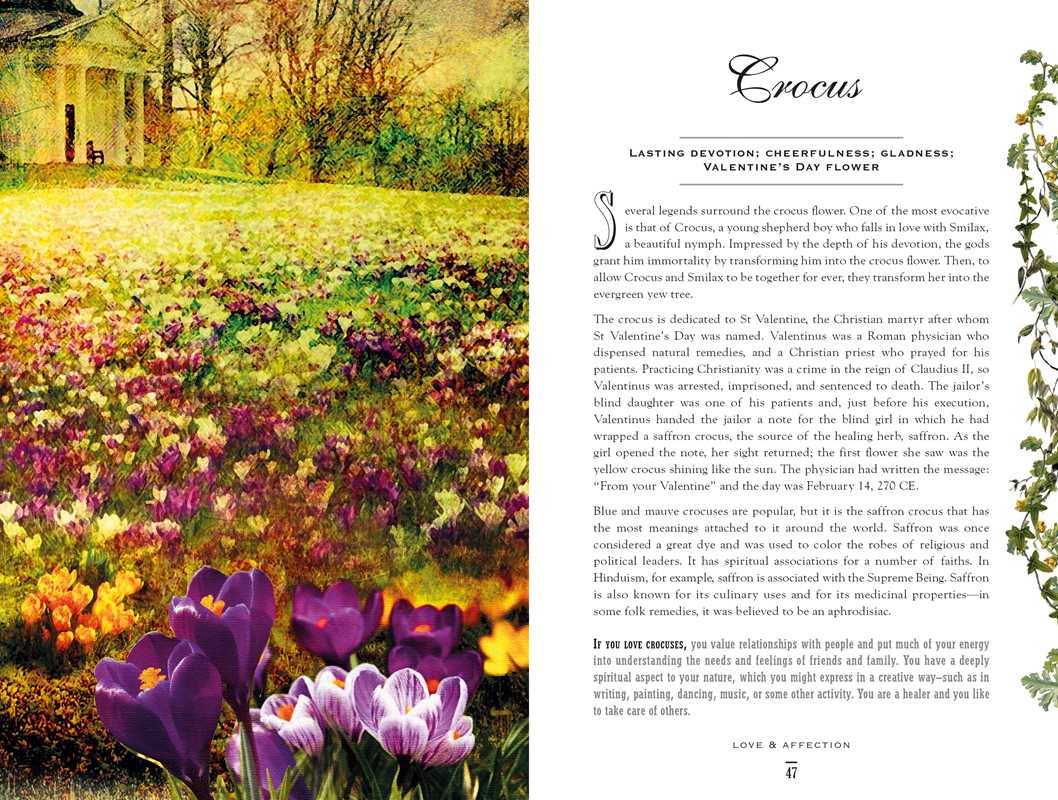 Simon & Schuster - Secret Language of Flowers by Samantha Gray