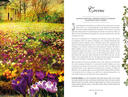 Simon & Schuster - Secret Language of Flowers by Samantha Gray