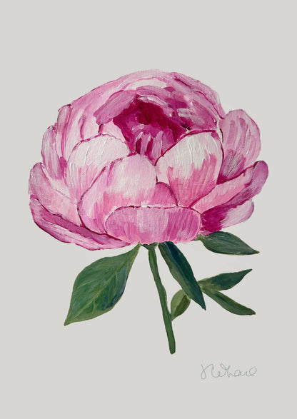 Citrus Daisy - Pink Peony Greeting Card