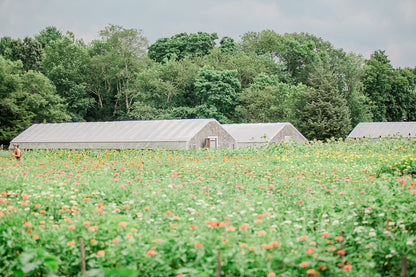 NEW! Flower Farm Tour & Cut Your Own Bouquet