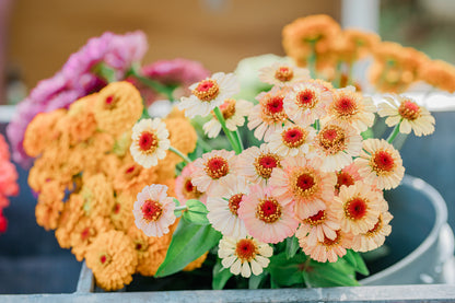 CSA Summer Flower Share
