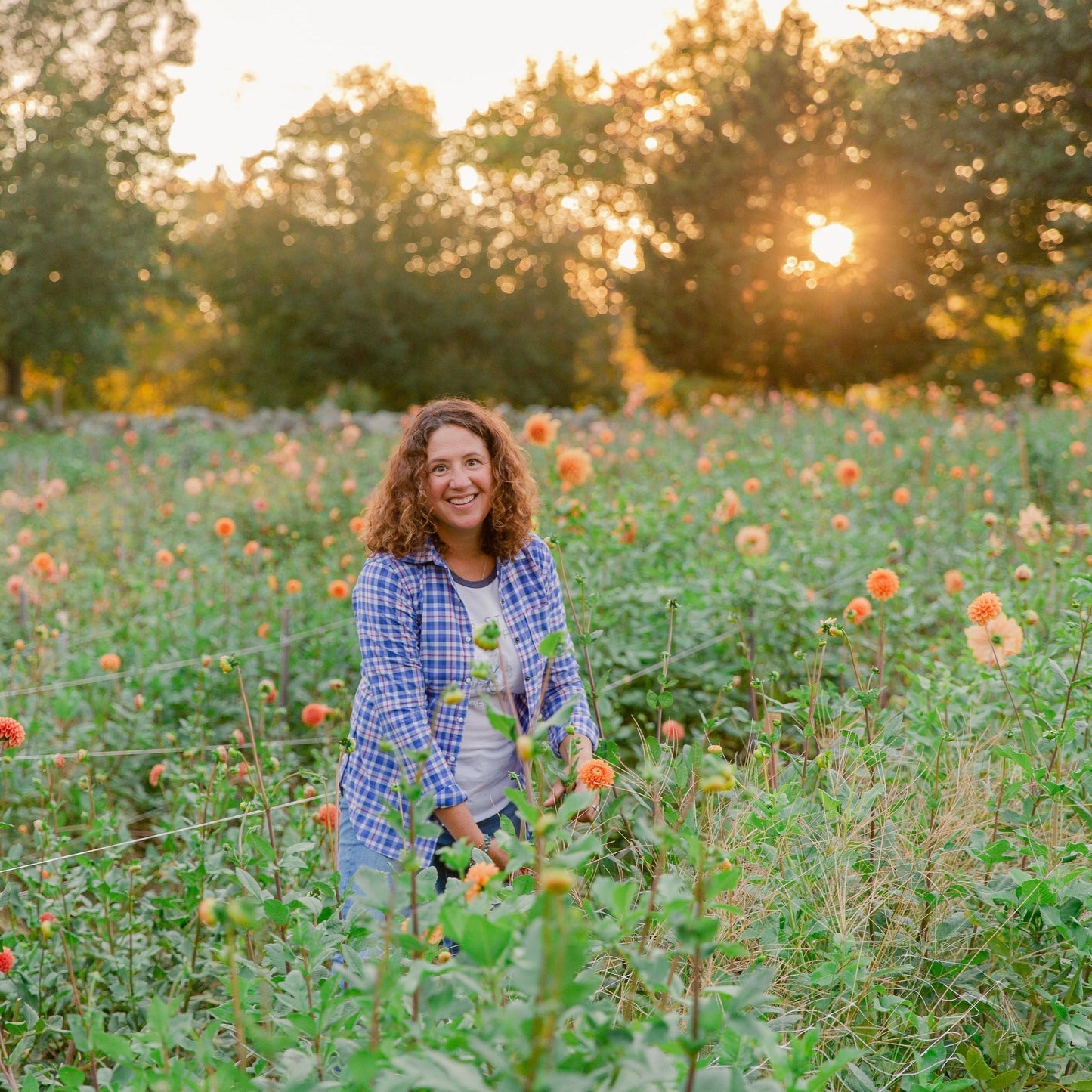 Grow Your Own Dahlias Workshop (Part 2)