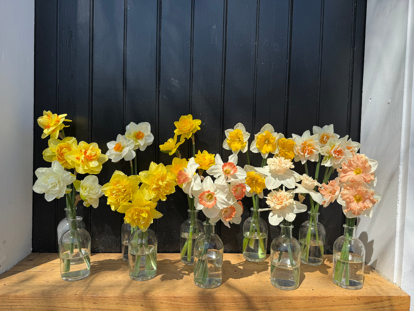 CSA Spring Flower Share