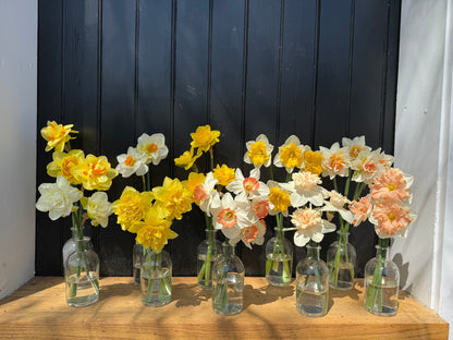 CSA Spring Flower Share
