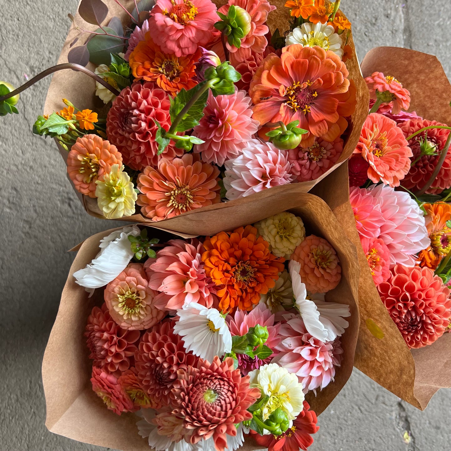 CSA Dahlia Flower Share