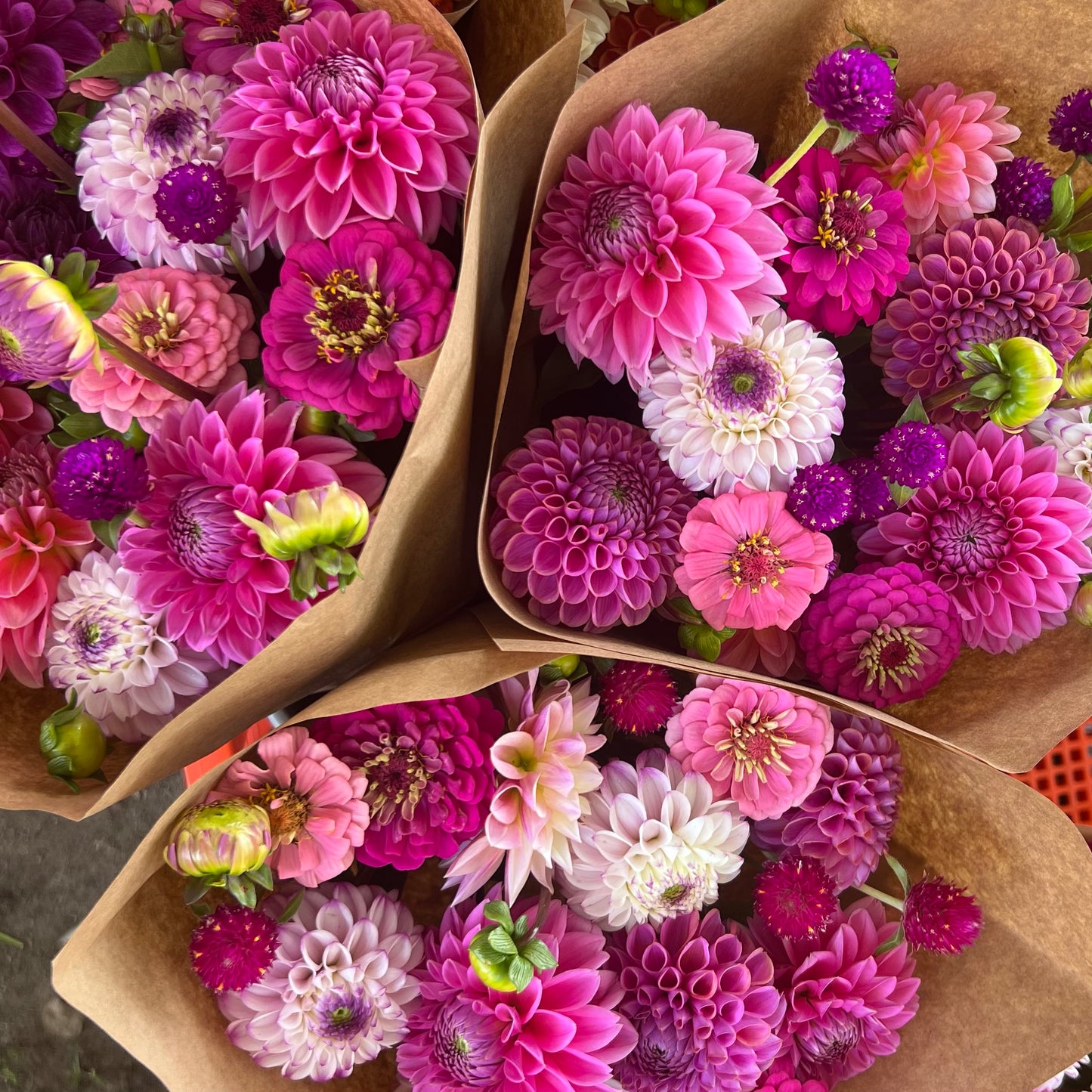 CSA Dahlia Flower Share