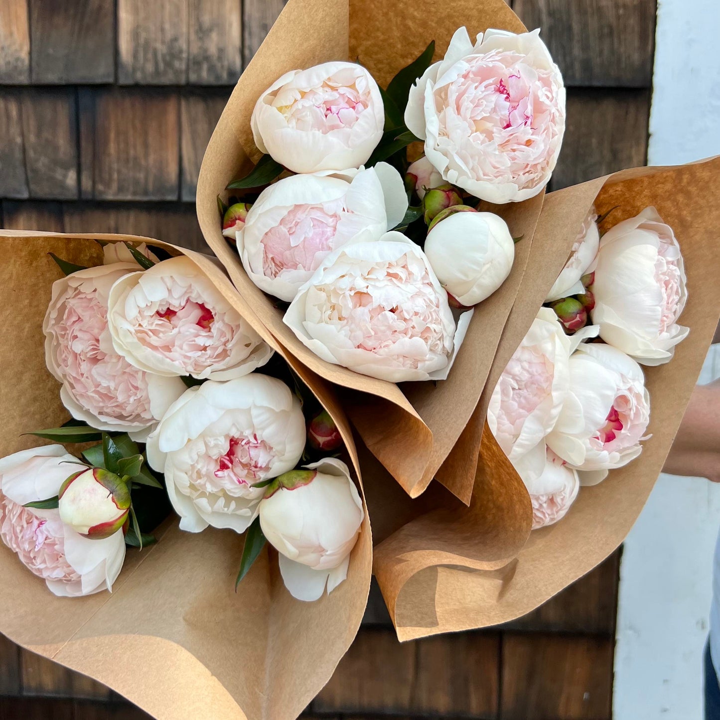Cut Your Own Peonies
