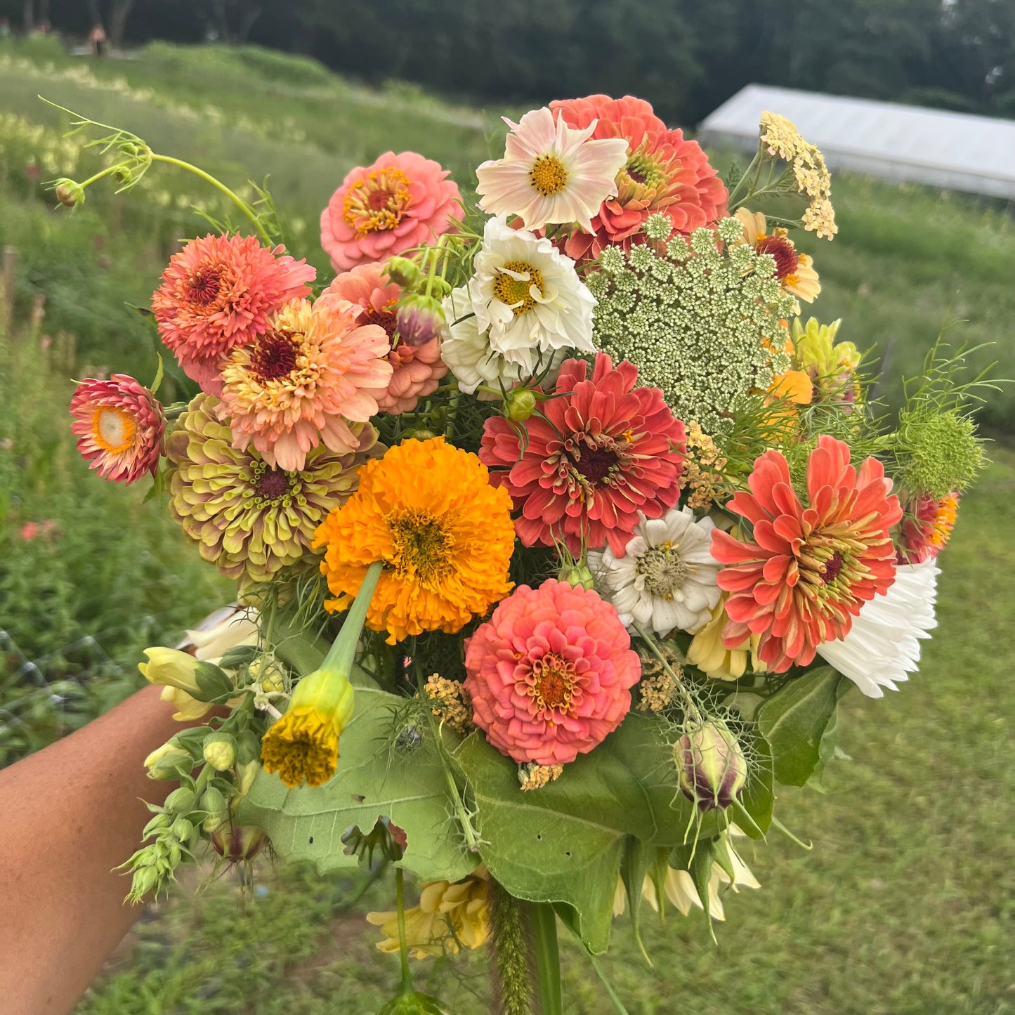 Farm Fresh Bouquets