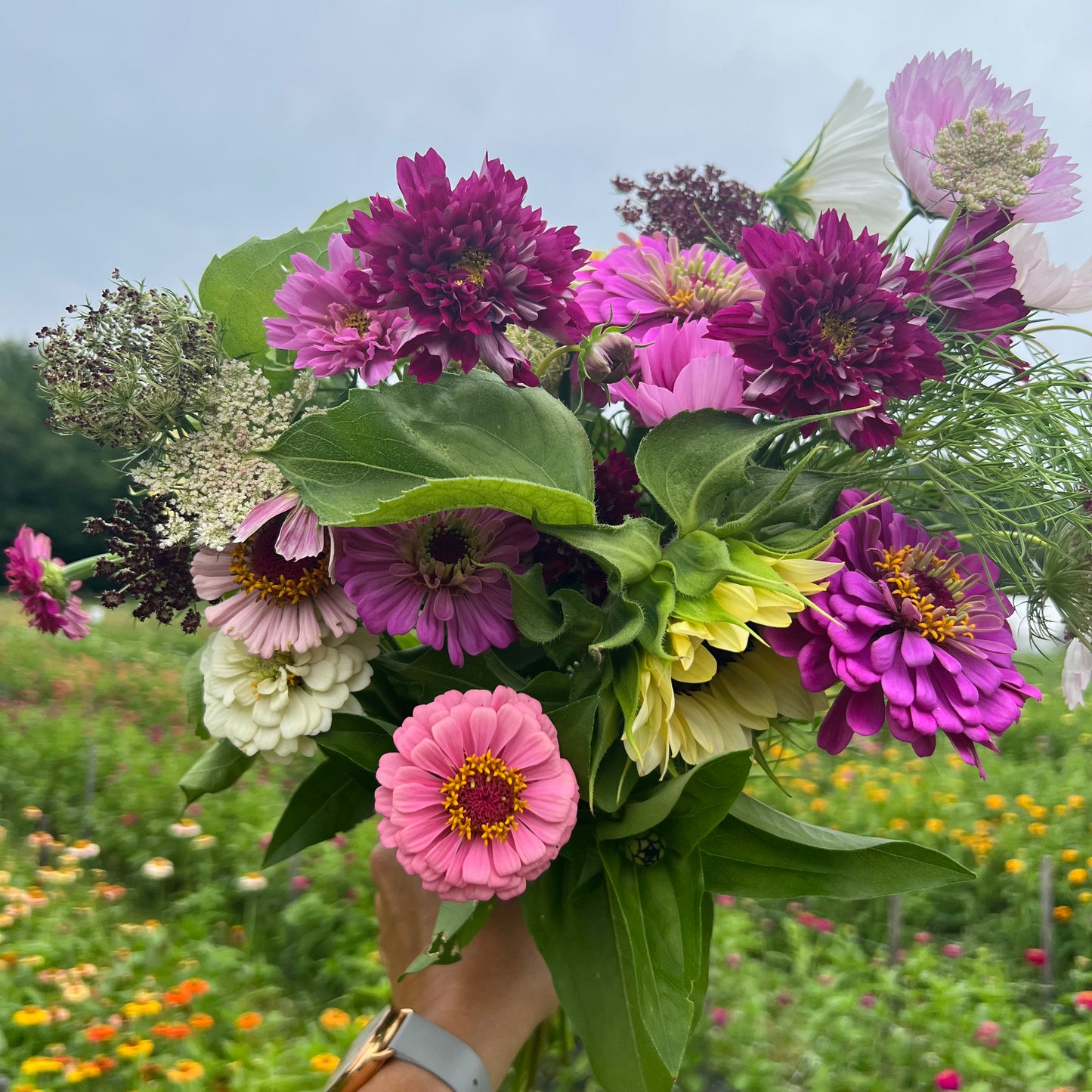 Farm Fresh Bouquets