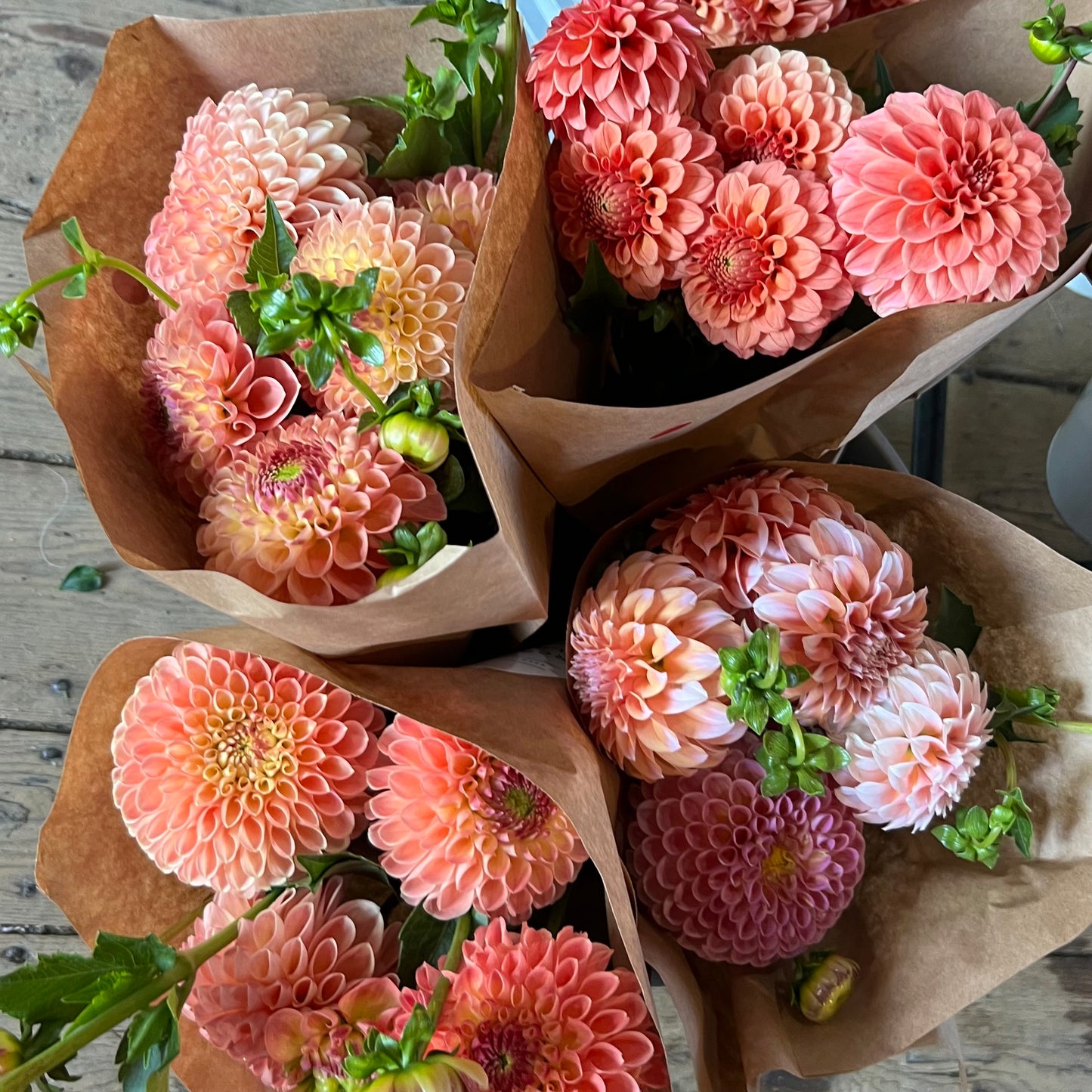 CSA Dahlia Flower Share