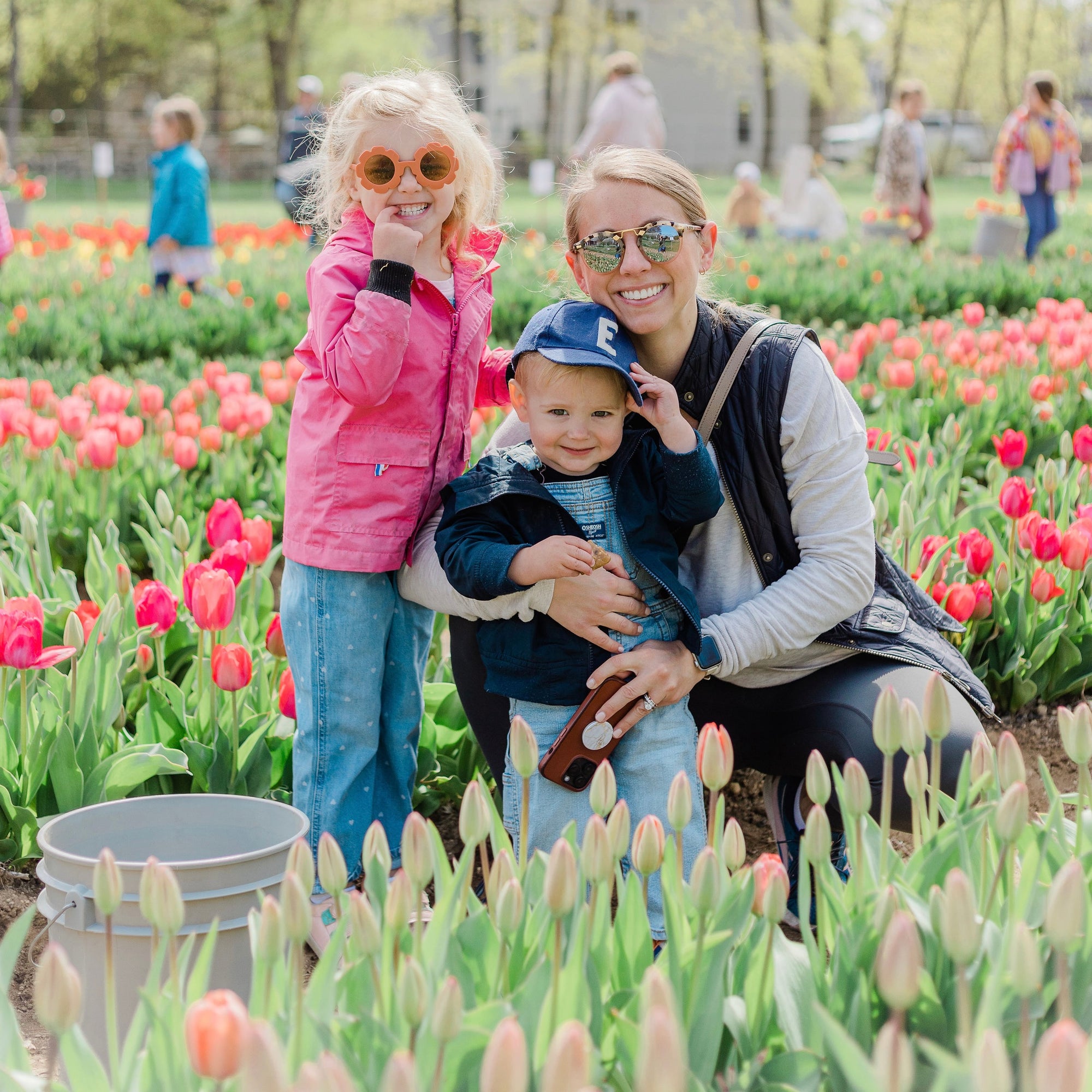Pick Your Own Tulips - Thurs April 25th